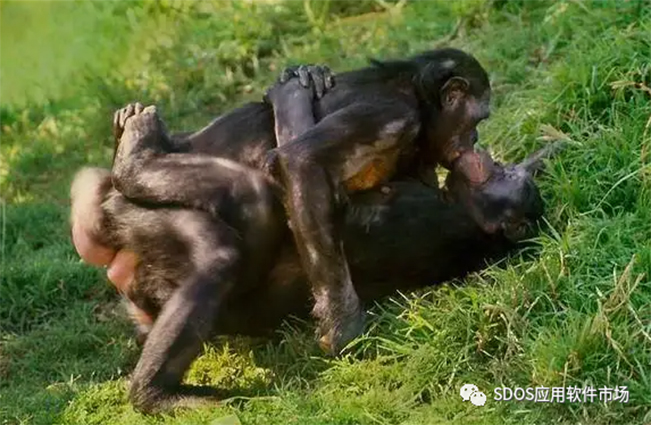 我们所理解的生命的本能是繁殖,未知的超级人工智能是什么本能力?