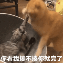 1662876186375371.gif 1.gif