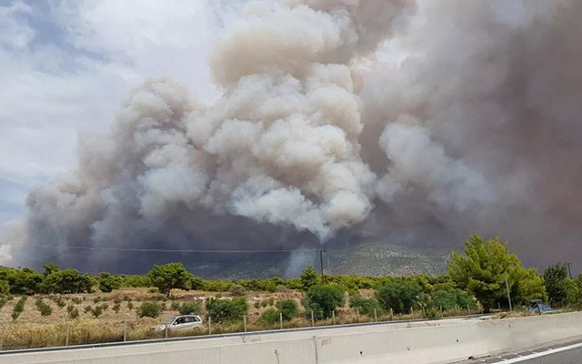 希腊雅典发生森林火灾