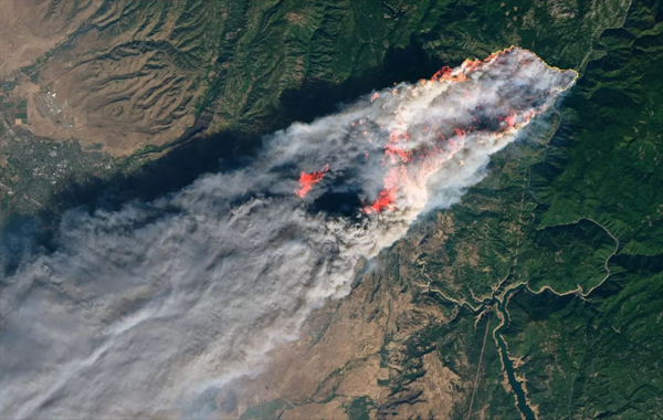 加州森林火灾