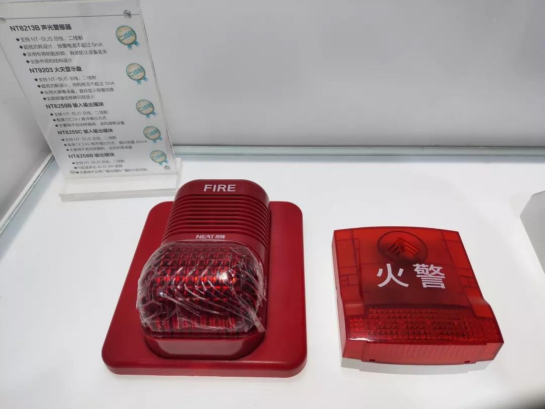 尼特
