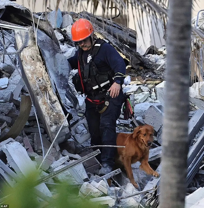 美国大楼凌晨碎成渣！坍塌瞬间曝光，5死156人失踪，美基建被质疑