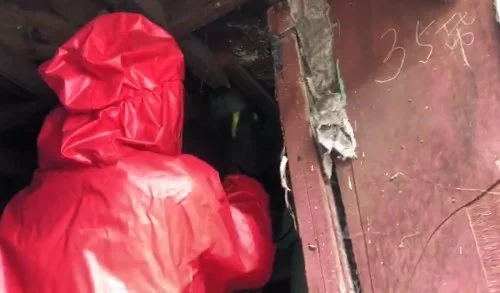 马蜂窝清理3