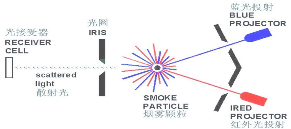 从检测走向识别：区分粒子直径