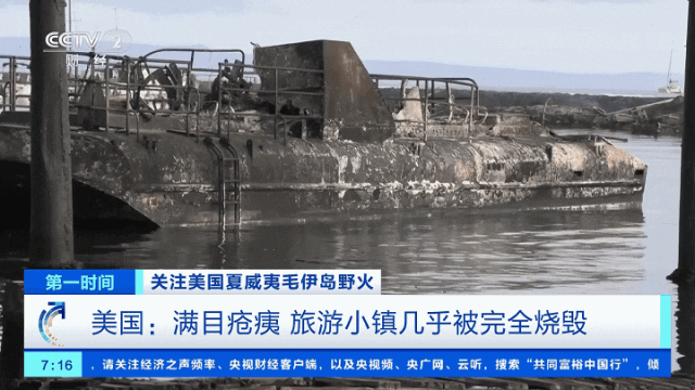 美国夏威夷州毛伊岛野火