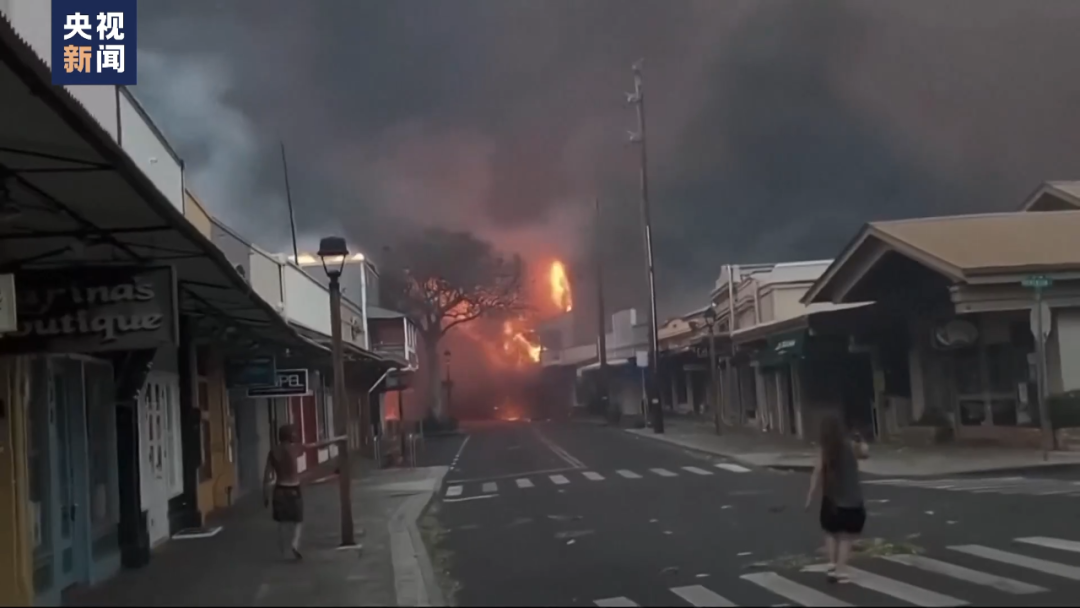 美国夏威夷州毛伊岛野火